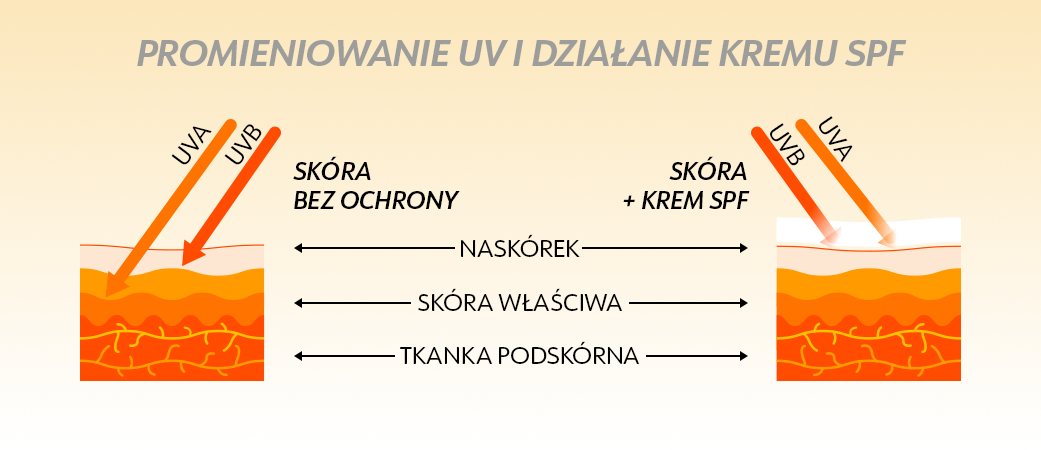 Działanie kremu z filtrem SPF